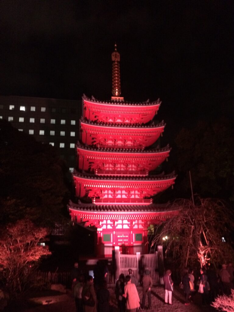 東長寺のライトアップ。