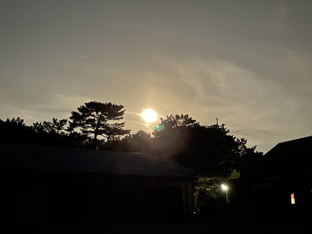 夜の福間海岸に浮かぶ月の光。静かな海辺と松の木が幻想的な雰囲気