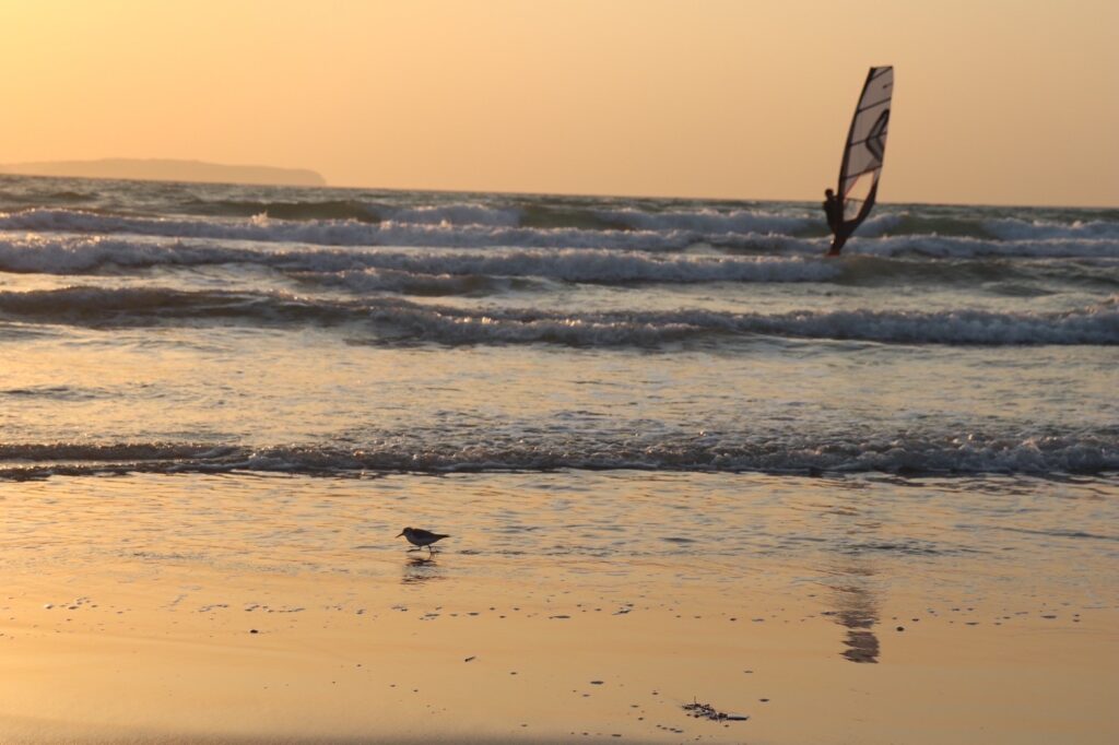 太陽が海に沈む瞬間。海上にはスポーツをしてる人の姿。砂浜には鳥
