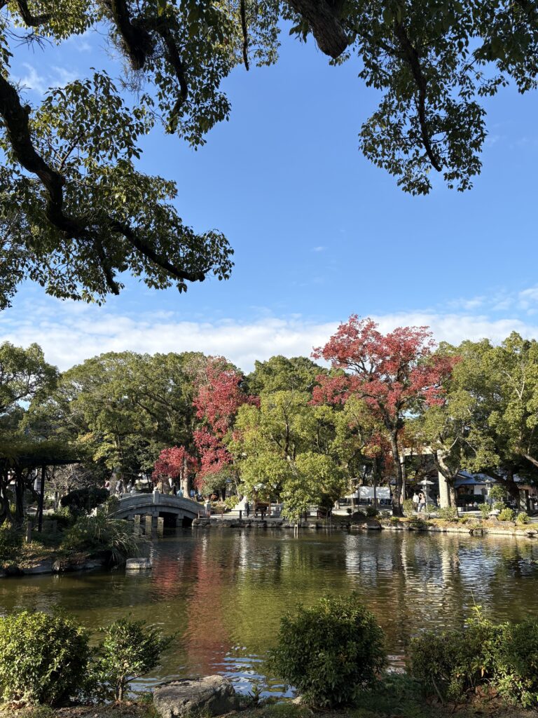 宗像大社の入口付近にある池と、池にかかる橋。背後に色づいた紅葉が映る秋の景色