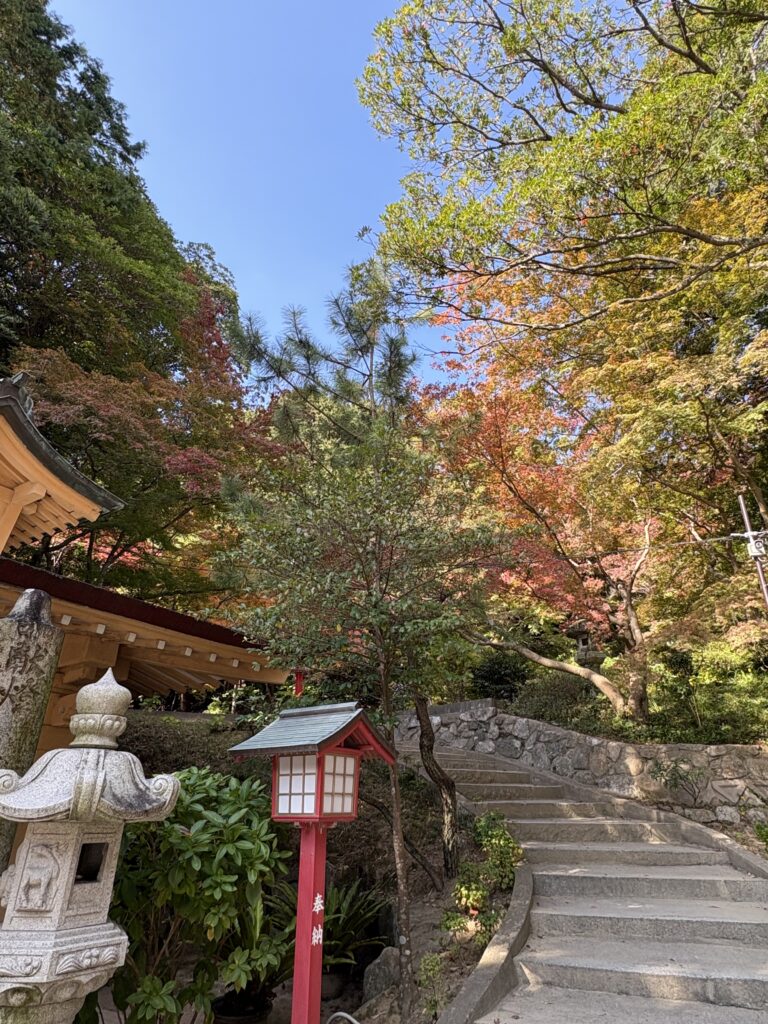 宮地嶽神社・奥の宮八社の不動明王付近に色づく紅葉