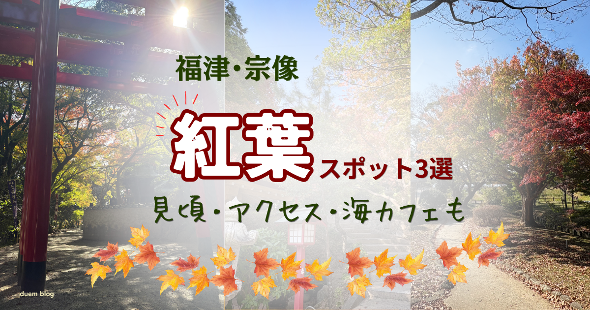 福津・宗像エリアの紅葉スポット3選を地元目線でご紹介