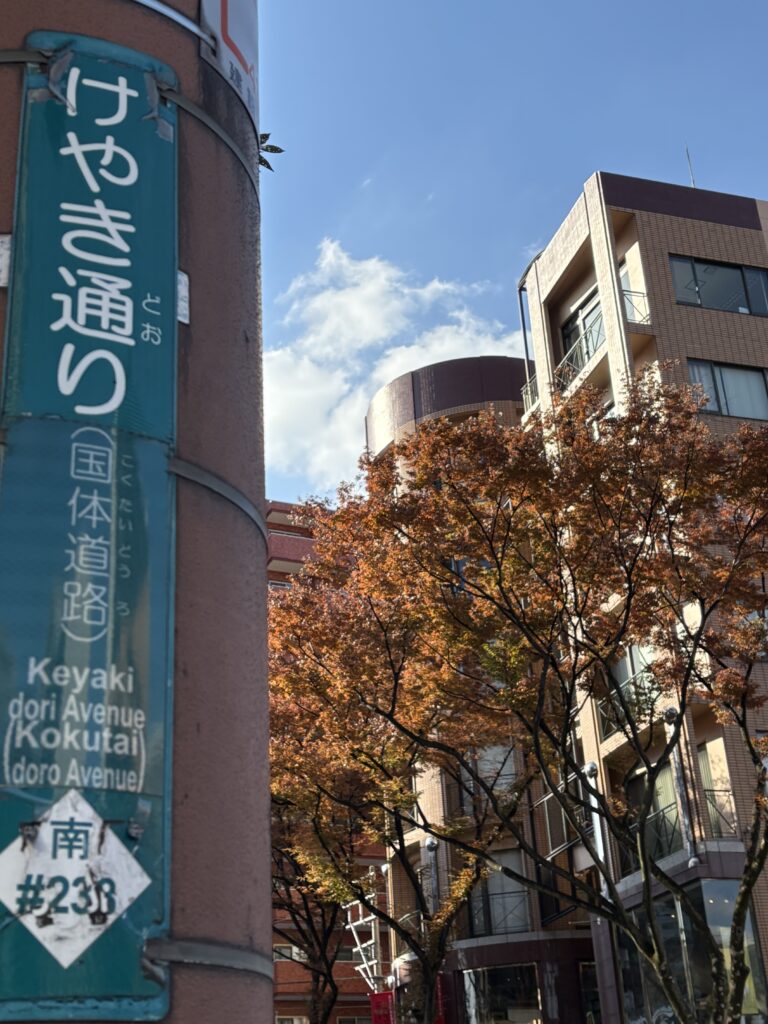福岡市のけやき通りの標識の後ろに見える紅葉
