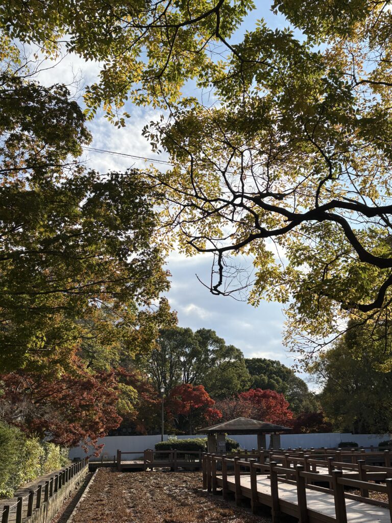 福岡城跡地の紅葉風景