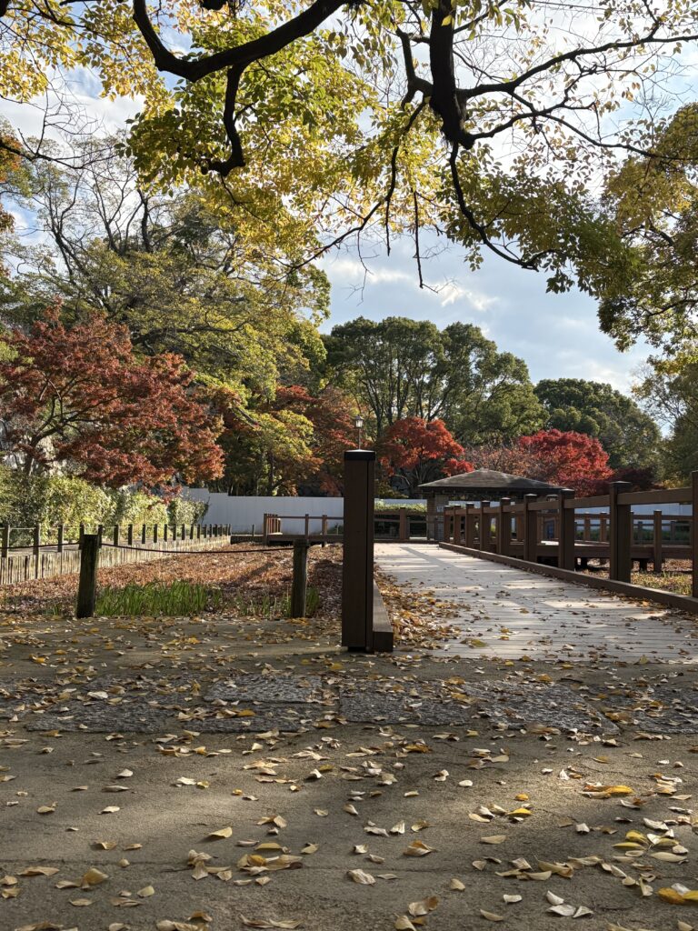 福岡城跡地にある紅葉風景