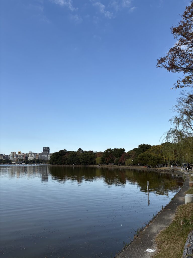 大濠公園の池からの風景