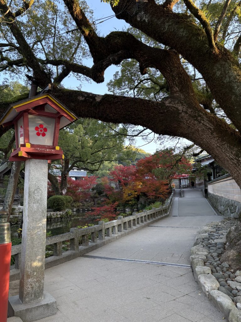 太宰府天満宮の太鼓橋すぐの赤く色づく紅葉の風景
