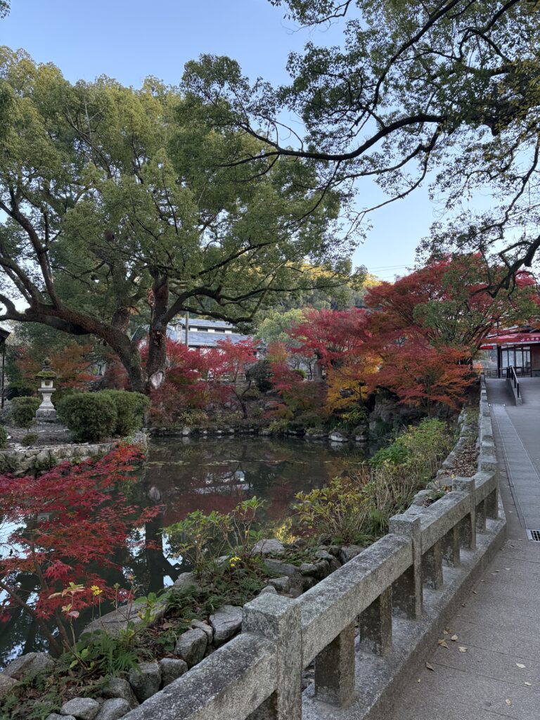 太宰府天満宮の心字池と紅葉の美しい景色。