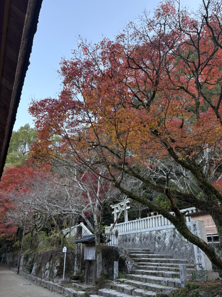 太宰府天満宮の奥にある紅葉の風景。