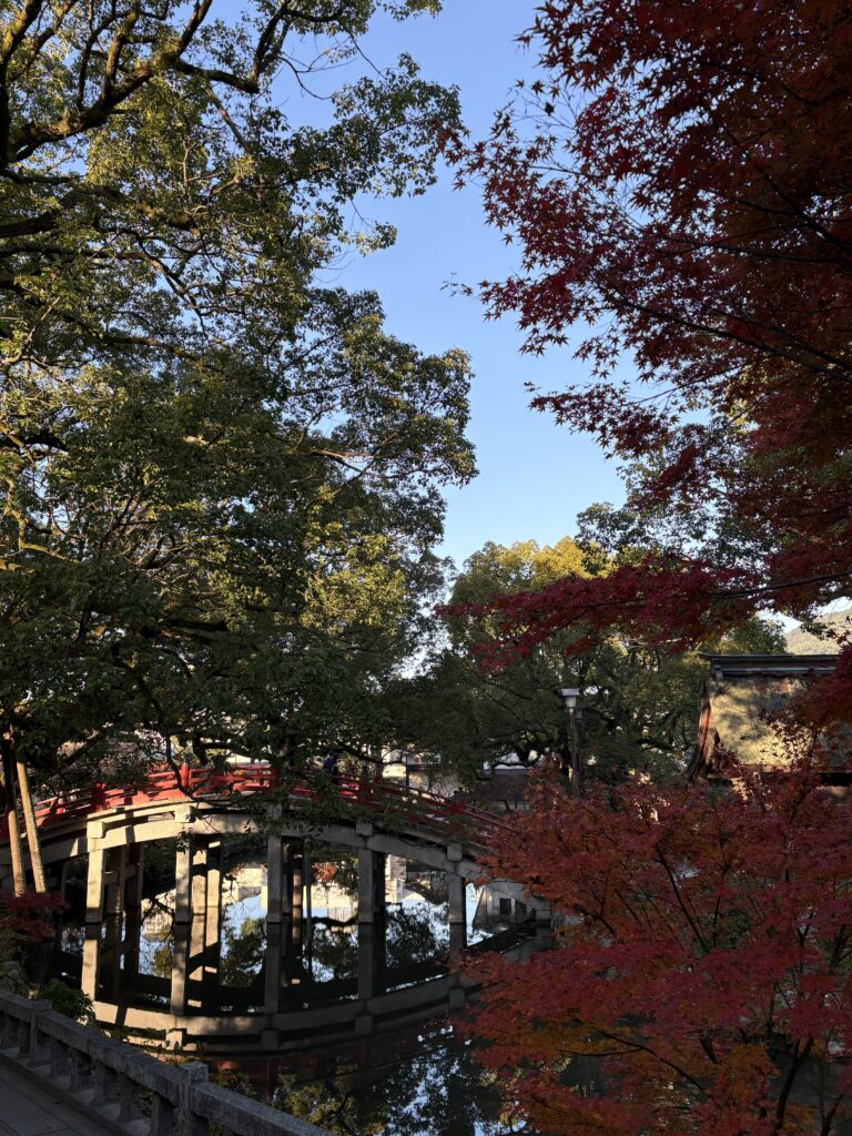 太宰府天満宮では、赤く色づいた紅葉の奥に太鼓橋が見え、池にはその太鼓橋が映り込み、とても美しい景色が広がります。