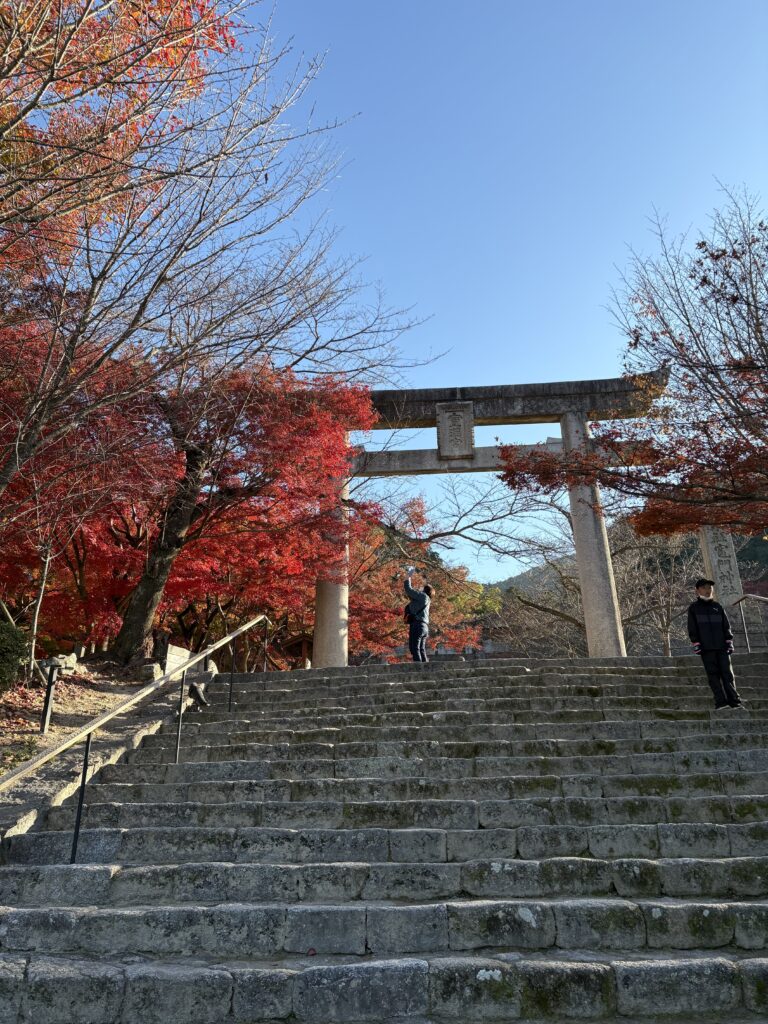 竈門神社の大きな鳥居へ続く石段。両側を赤く色づいた紅葉が彩り、青空の下で参拝者が写真を撮っている。