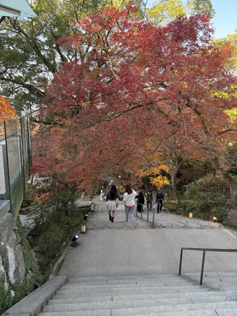 竈門神社の石段から見下ろした紅葉の散策道。赤やオレンジの紅葉の下を歩く人々。