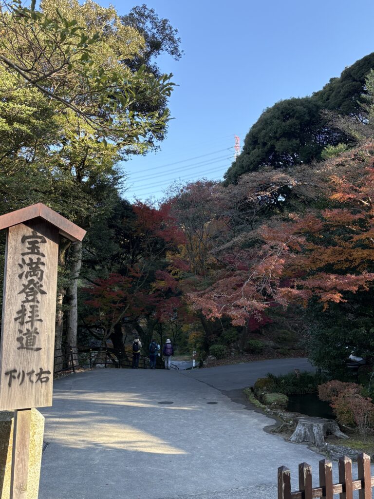 竈門神社から宝満宮への参道脇に広がる紅葉。青空を背景に、色づいた木々と歩く参拝者の様子。