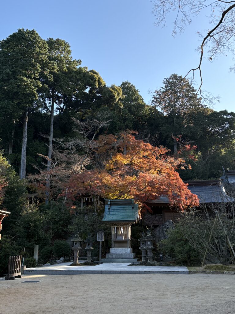 竈門神社の境内に立つお社と、背後で鮮やかに染まる紅葉の景色。
