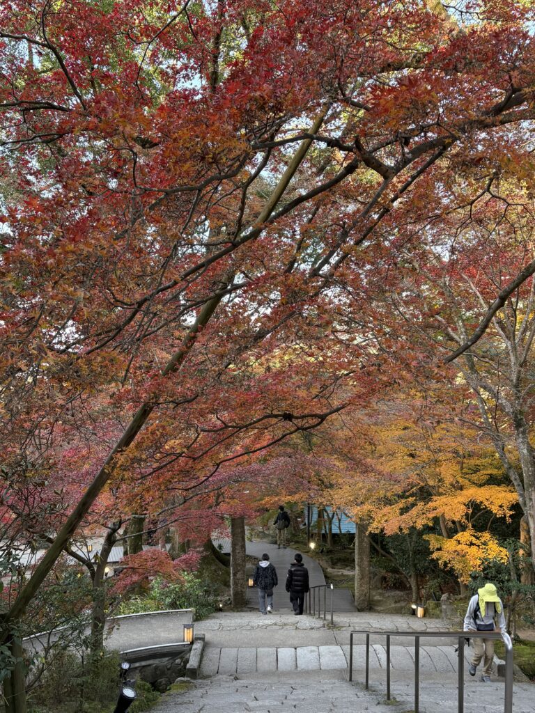 竈門神社の石段から見下ろした紅葉の散策道。赤やオレンジの紅葉の下を歩く人々。