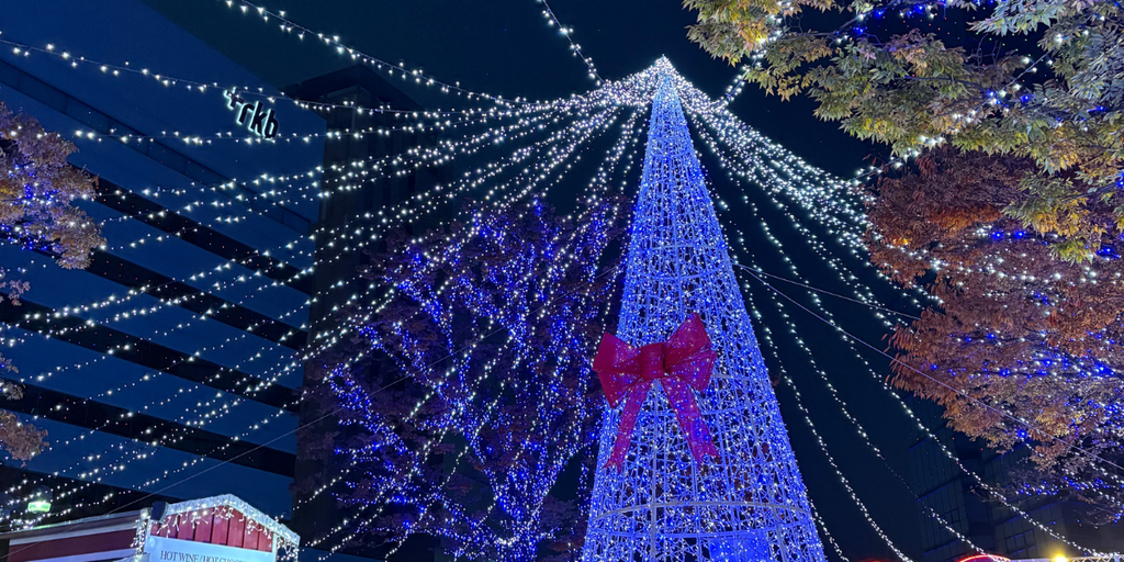  福岡タワー前（百道浜）のクリスマスイルミネーション。